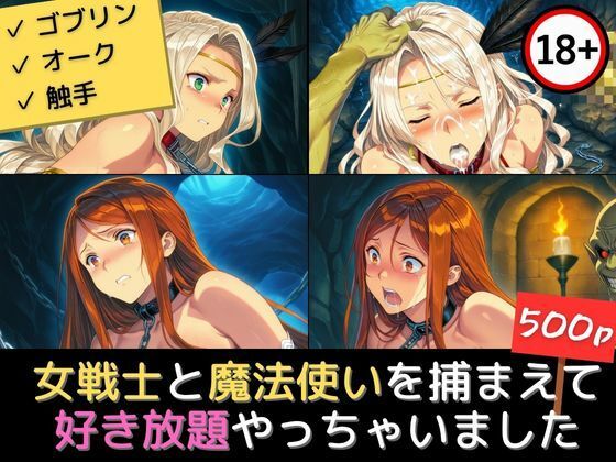 女戦士と魔法使いを捕まえて好き放題やっちゃいました (同人誌)