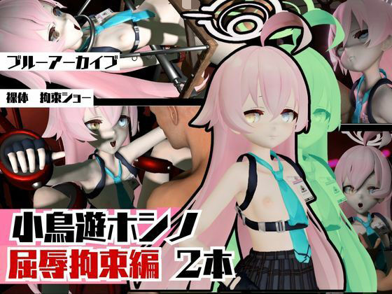 ブルーアーカイブの小鳥遊ホシノ生誕祭、誕生日ということで拘束調教動画2本セット！ (同人誌)