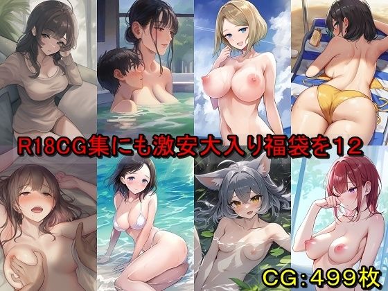 R18CG集にも激安大入り福袋を12 (同人誌)