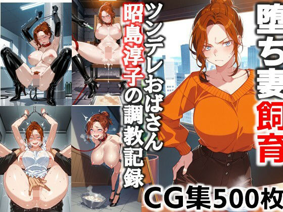 堕ち妻飼育  ツンデレおばさん昭島淳子の調教記録CG集 (同人誌)