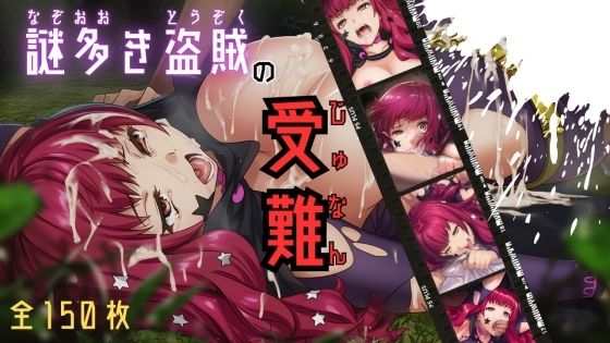 謎多き盗賊の受難 (同人誌)