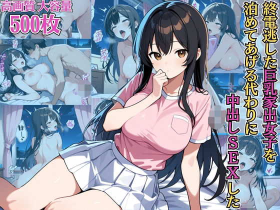 終電逃した巨乳家出女子を泊めてあげる代わりに中出しSEXした【NTR】【種付けプレス】【女子校生】【CG500枚】 (同人誌)