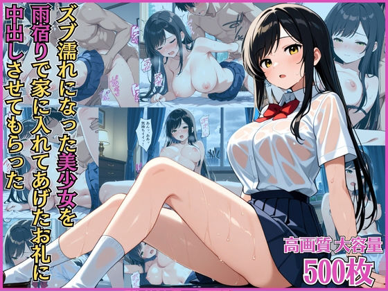 ズブ濡れになった美少女を雨宿りで家に入れてあげたお礼に中出しさせてもらった【淫乱】【ドジっ娘】【女子校生】【CG500枚】 (同人誌)