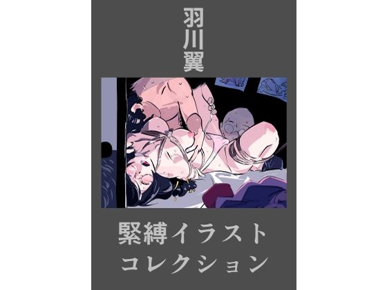 羽川翼  緊縛イラストコレクション (同人誌)