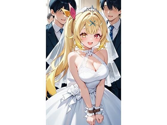 星○サラウェディング (同人誌)