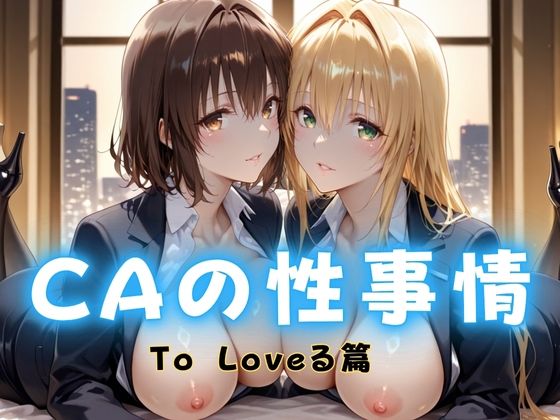 CAの性事情  ― パイロット専用の肉体奉仕  To L〇VEる教師編 (同人誌)