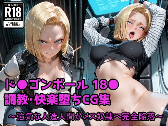 強気な人造人間がメス奴●へ完全陥落 (同人誌)