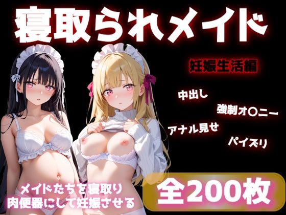 寝取られメイドの妊娠生活 (同人誌)