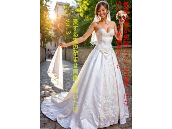 最愛の妻が失踪して一年後怪しげなSDカードが届きました 愛する妻の孕ませ画像が届いた日 vol.3 (同人誌)