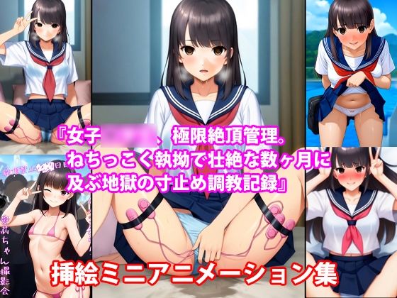 『女子〇〇〇、極限絶頂管理。ねちっこく執拗で壮絶な数ヶ月に及ぶ地獄の寸止め調教記録』挿絵ミニアニメーション集 (同人誌)