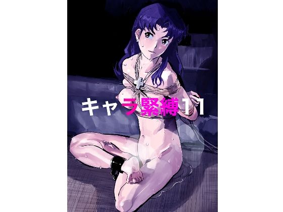 キャラ緊縛11 (同人誌)