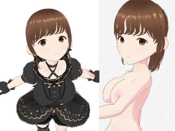 黒いドレスを着たお姉さん（セリフなし  3DCGモデル  イラスト集） (同人誌)
