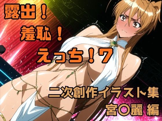 露出！羞恥！えっち！ 二次創作イラスト集7［宮〇麗］ (同人誌)