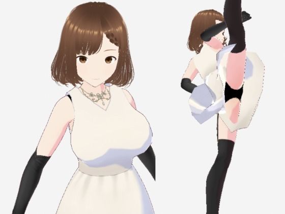 スカートの下にガーターストッキングを着たレディ（セリフなし  3DCGモデル  イラスト集） (同人誌)