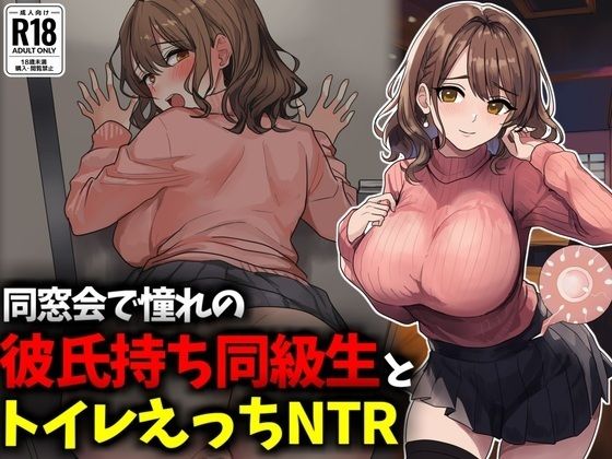 同窓会で憧れのマドンナ的同級生とトイレえっちNTR (同人誌)