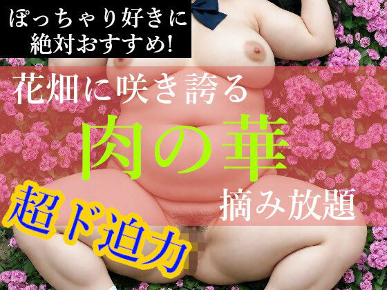 ぽっちゃり娘【肉の華】 (同人誌)