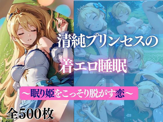 清純プリンセスの着エロ睡眠 〜眠り姫をこっそり脱がす恋〜 (同人誌)