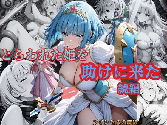 とらわれた姫を助けに来た  続編  サファイア編 (同人誌)