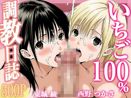 調教日誌 東城綾 西野つかさ (同人誌)