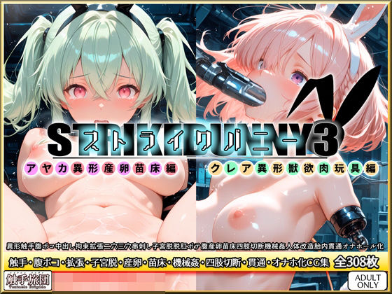 ストライクバニー3 (同人誌)