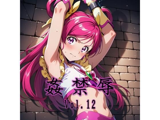 姦禁辱 vol.12 (同人誌)