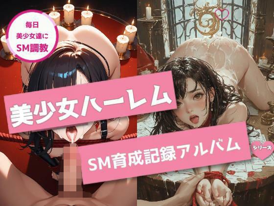 美少女ハーレムSM育成記録アルバム (同人誌)