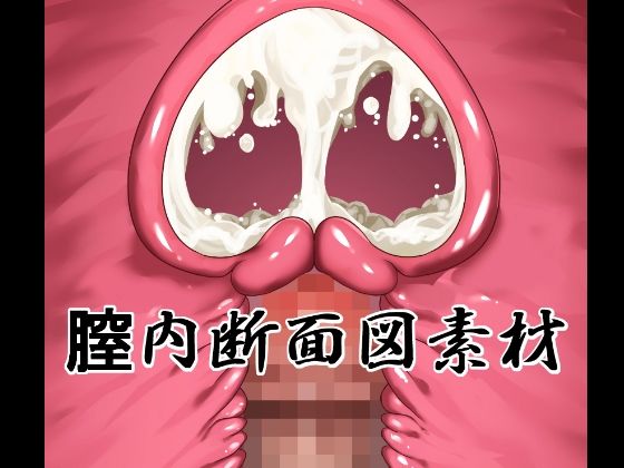 膣内断面図素材 (同人誌)