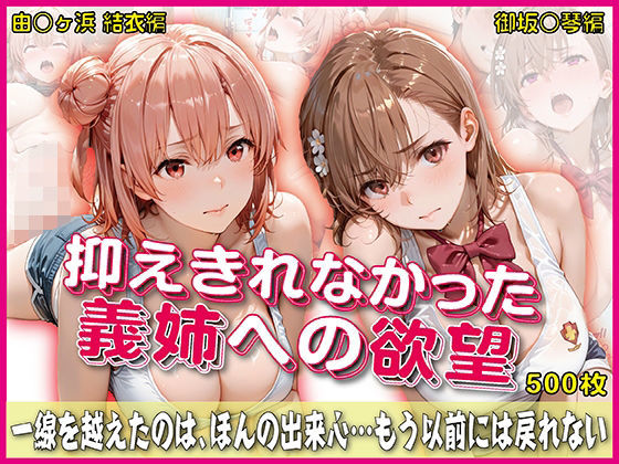 抑えきれなかった義姉への欲望【豪華CG500枚収録】 (同人誌)