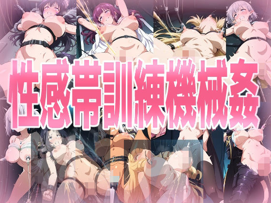 性感帯訓練機械姦 (同人誌)