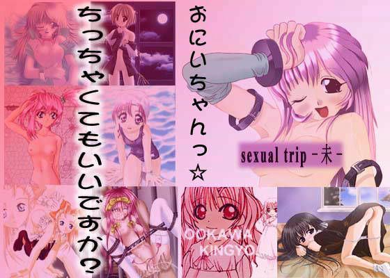 sexual trip -未- （軽量版） (同人誌)