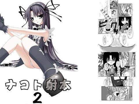 ナコト射本 2 (同人誌)