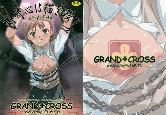 好奇心は猫を殺す 1 (同人誌)