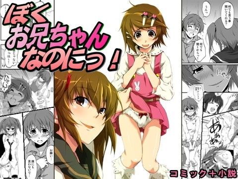 ぼく、お兄ちゃんなのにっ！ (同人誌)