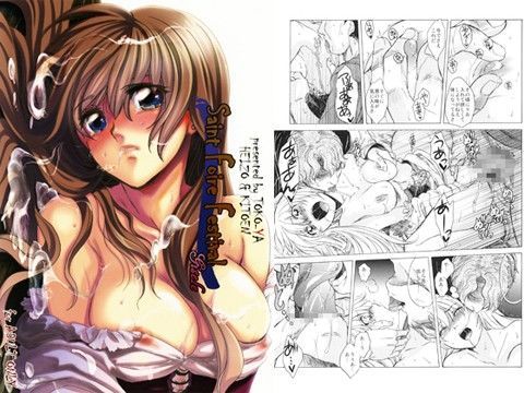 Saint Foire Festival (同人誌)