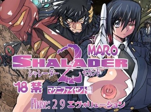 シャレーダーセカンドNO.29エヴォリューション (同人誌)