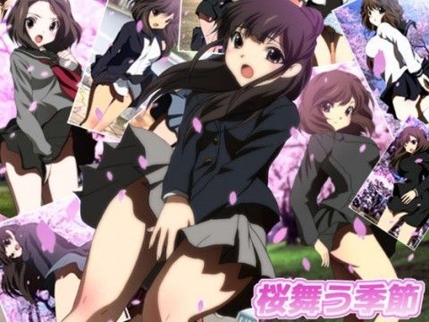 桜舞う季節 (同人誌)