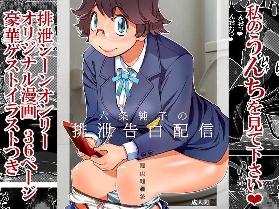 六条純子の排泄告白配信 (同人誌)