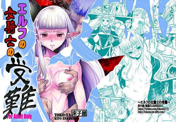 エルフの女騎士の受難 (同人誌)