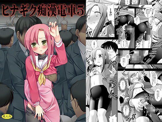 ヒナギク痴●電車5 (同人誌)