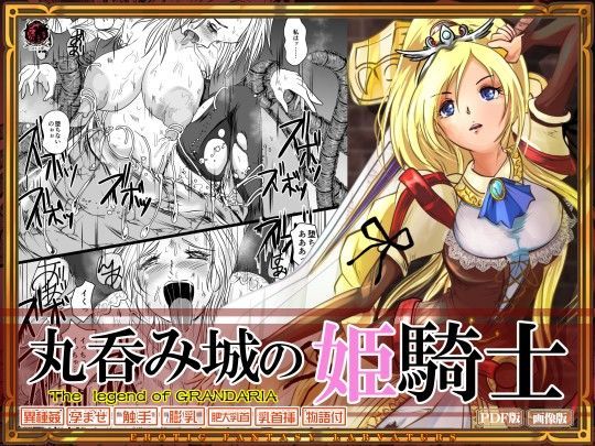 丸呑み城の姫騎士 (同人誌)