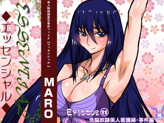 エッセンシャル11事件事件編 (同人誌)