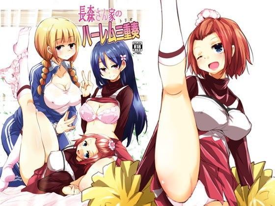 長森さん家のハーレム三重奏 (同人誌)