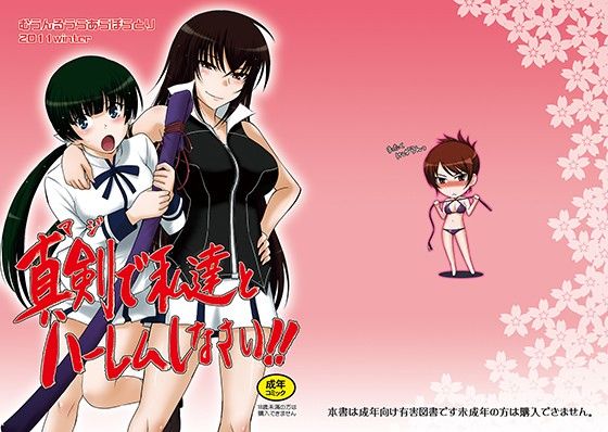 真剣で私達とハーレムしなさい！！ (同人誌)