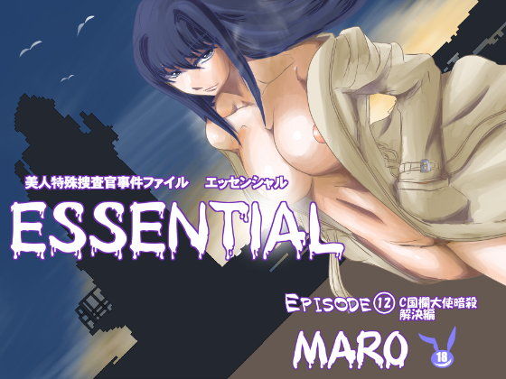 エッセンシャル12解決編 (同人誌)