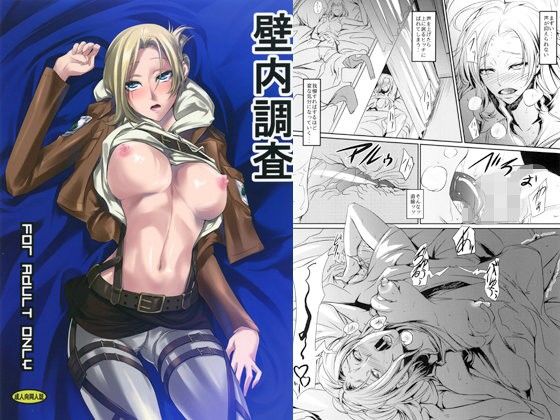 壁内調査 (同人誌)