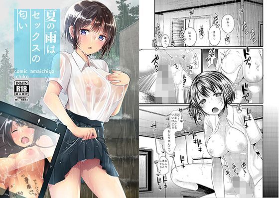 夏の雨はセックスの匂い (同人誌)