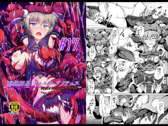 駆錬輝晶 クォルタ アメテュス ＃17 (同人誌)