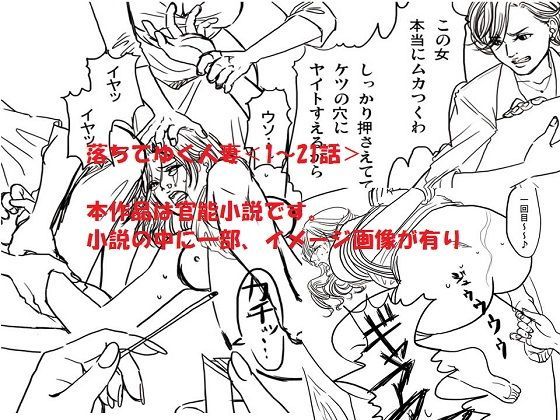 ＜官能小説・イメージ画像付き・全403P＞落ちてゆく人妻 (同人誌)