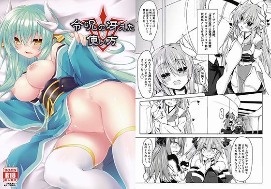 令呪の冴えた使い方 (同人誌)