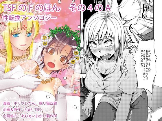 TSFのFのほん その4のA (同人誌)